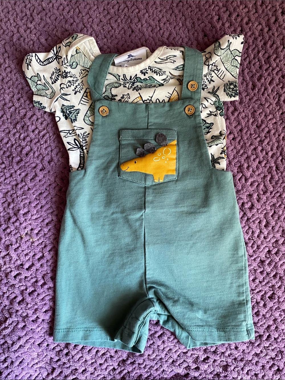2/$15 Tommy Bahama Dino Pocket Overall Shorts
